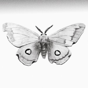 李昊 - 冬蛾 (feat.早安)