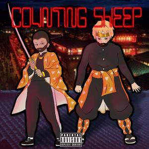 Counting Sheep (feat. Shwabadi) (Explicit)