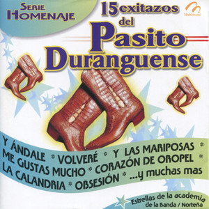 15 Exitazos del Pasito Duranguense