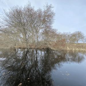 blenderhead.exe (feat. Beayond)