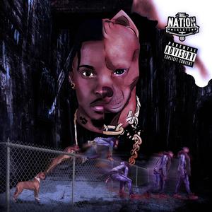 Stray Dawg (Explicit)