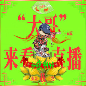 大哥来看我直播 (三农版)