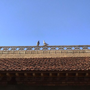 你又不了解我，你怎么知道，我会是那个陪你终老的人 (Live)