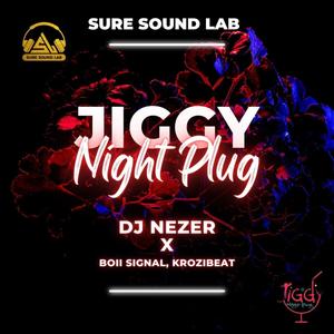 Jiggy Night Plug (JNP) (feat. boii signal & krozibeat)