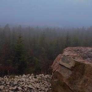 nobody will hear this