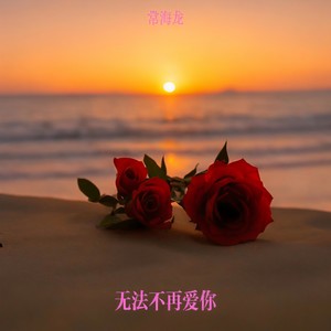 无法不再爱你