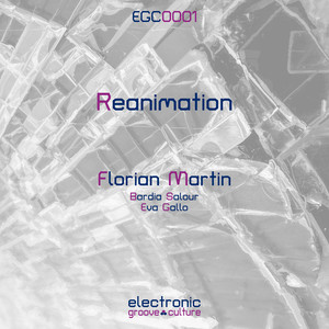 Reanimation (Bardia Salour Remix)