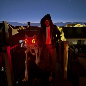 firePlace (Explicit)