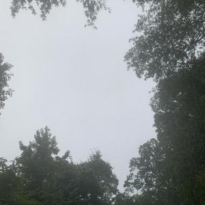 Katana (Remix|Explicit)