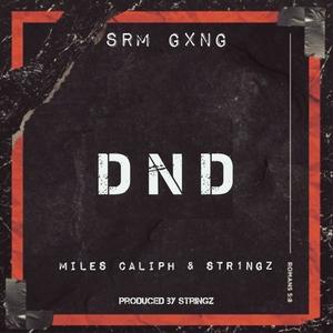 Srm Gang - DND (feat. STR1NGZ & Miles Caliph)