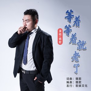 等着等着就老了 - 魏歌封面