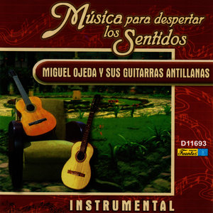 Mamá Ines (Instrumental|纯音乐)