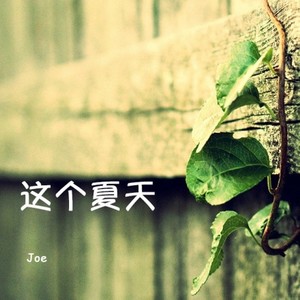 这个夏天