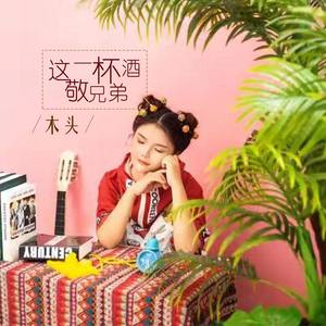 这一杯酒敬兄弟 (伴奏)