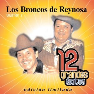 12 Grandes exitos Vol. 2