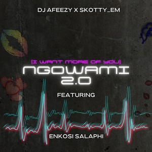 Ngowami 2.0 (I Want More Of You)