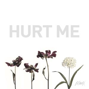 Hurt Me