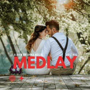 Medlay