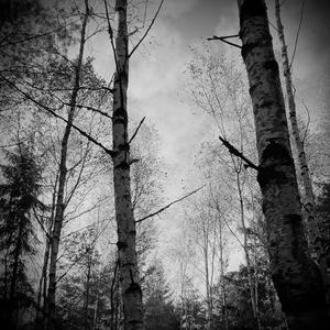 I don't want this forever