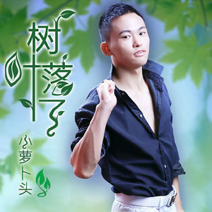 树叶落了 (伴奏)