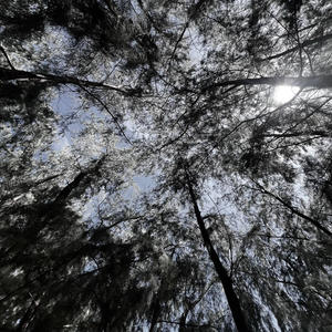 Better days (Explicit)