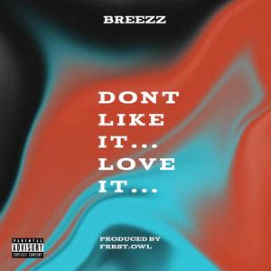 Dont like it... Love It... (Explicit)