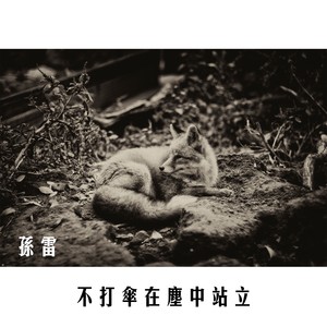 不打伞在尘中站立