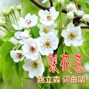 放飞中国梦伴奏 (伴奏)