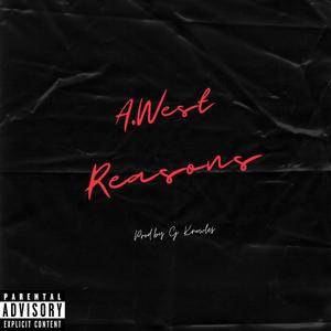 Reasons (Explicit)