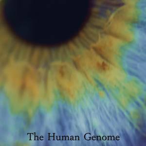 The Human Genome