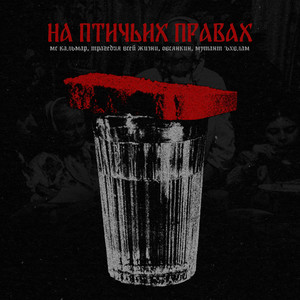 На птичьих правах (Explicit)