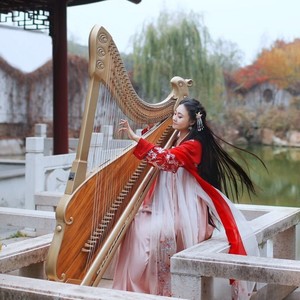 天命最高-满宝箜篌