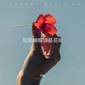 我是蝴蝶你是花-熊七梅