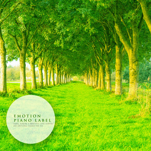 치유의 아침 (Healing Morning) (Nature Ver.)