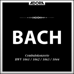 Konzert für Cembalo, Violine und Flöte in A Minor, BWV 1044 - II. Adagio, ma non tanto