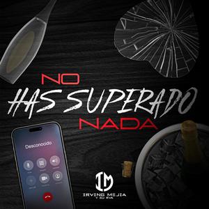 No Has Superado Nada