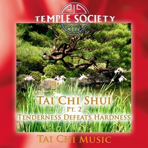 Tai Chi Shui, Pt. 2 - Tenderness Defeats Hardness (Tai Chi Version)