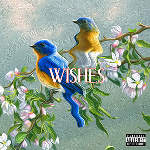 Wishes (Explicit)