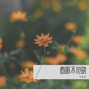 春眠不觉晓