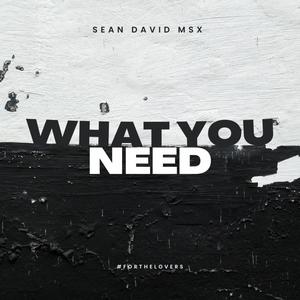 What You Need