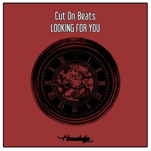 Looking For You (Nu Ground Foundation Classic Cut)