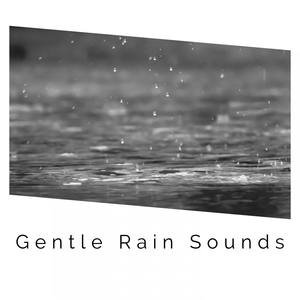 1 Hour of Gentle Rain Sound Recordings