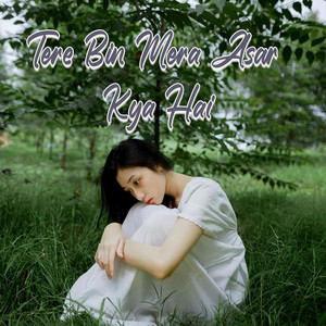 Khwaab Mein Bhi Rota Hoon