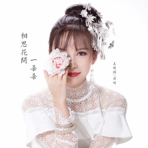 相思花开一朵朵