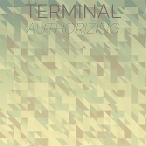 Terminal Authorizing