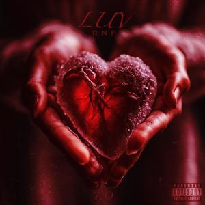 Luv (feat. StoozyKid) (Explicit)