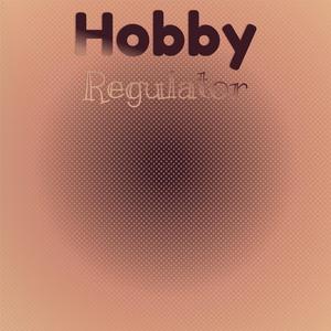 Hobby Regulator