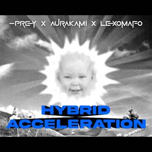 Hybrid Acceleration (Explicit)