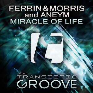 Miracle Of Life (Original Mix)