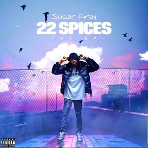 22 SPICES THE EP